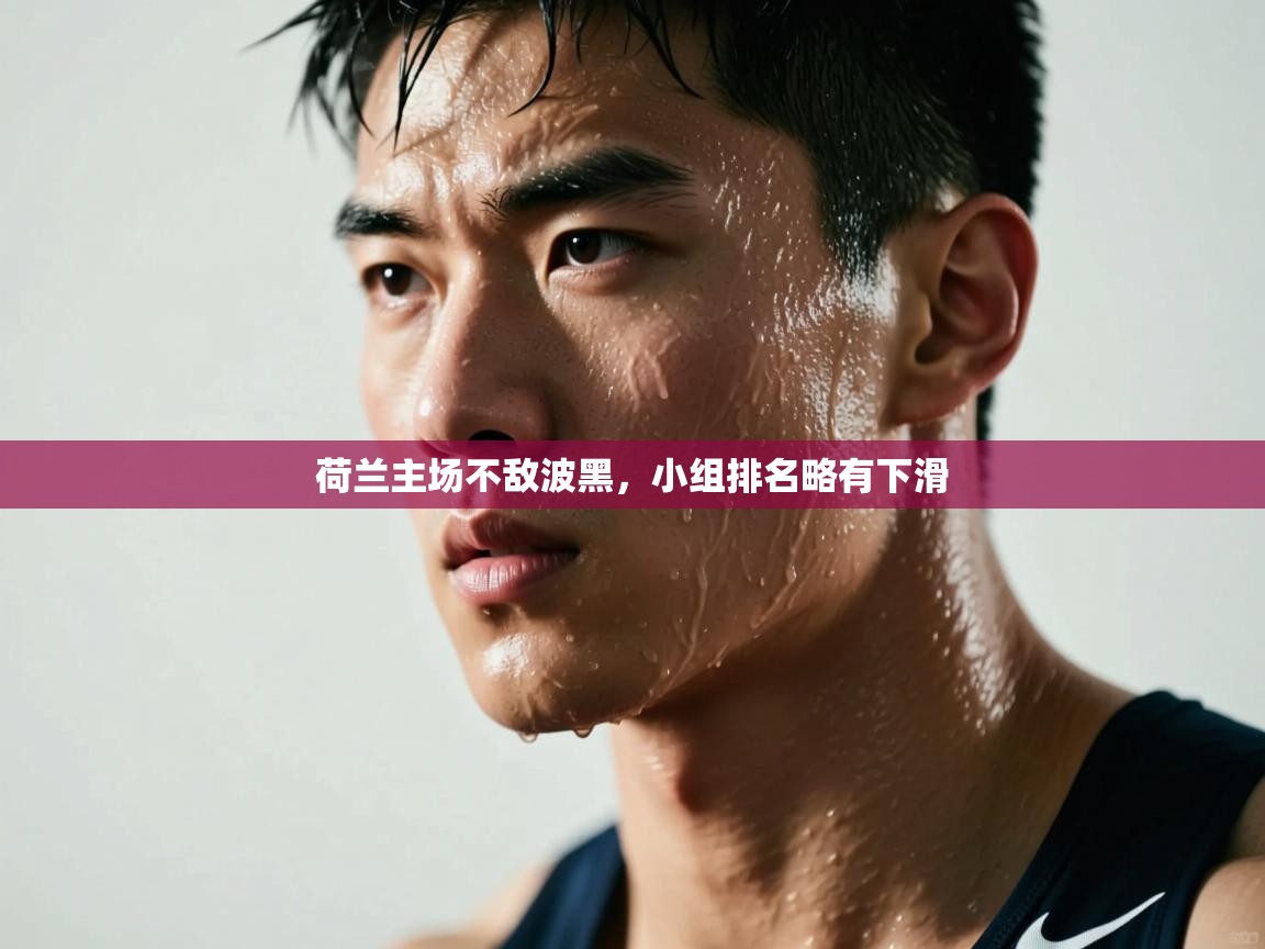 荷兰主场不敌波黑，小组排名略有下滑  第1张