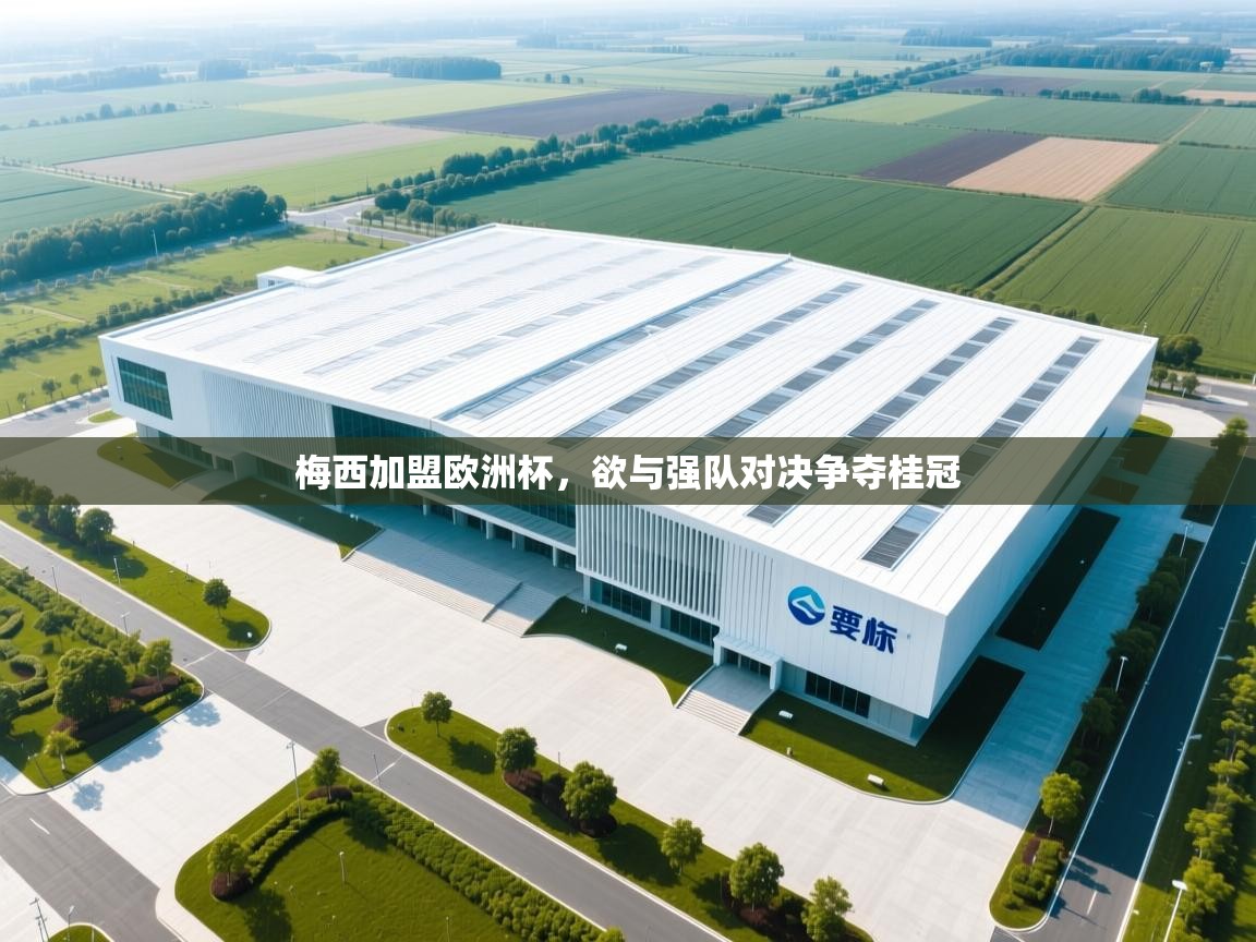 梅西加盟欧洲杯，欲与强队对决争夺桂冠  第1张