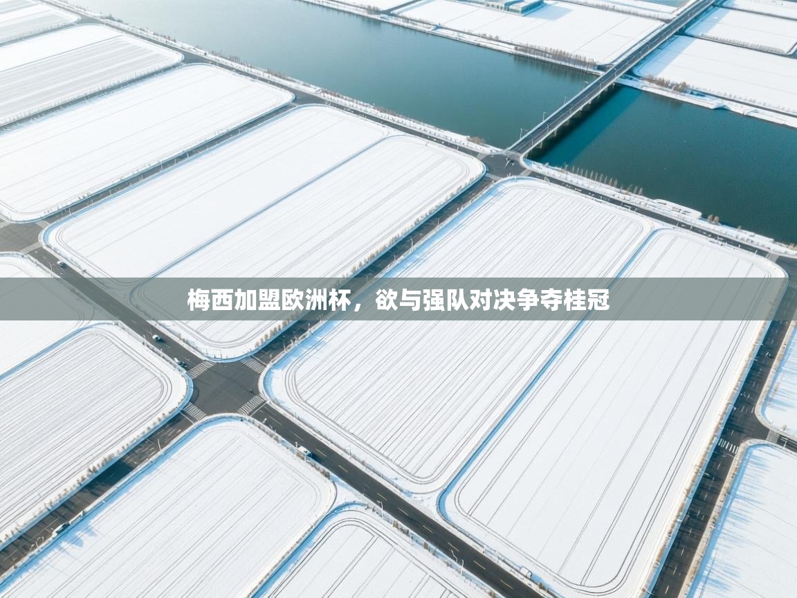 梅西加盟欧洲杯，欲与强队对决争夺桂冠  第2张