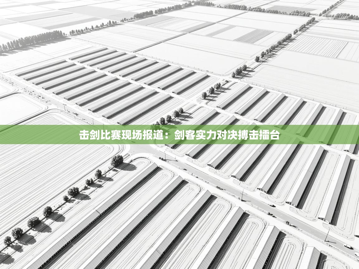 击剑比赛现场报道:剑客实力对决搏击擂台 第1张